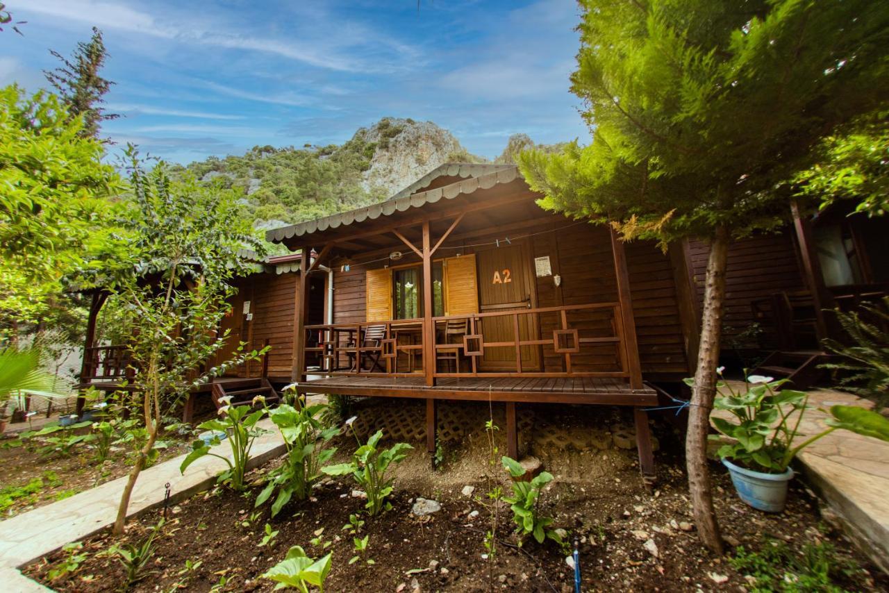 Ikiz Pension Bungalow Çıralı Luaran gambar