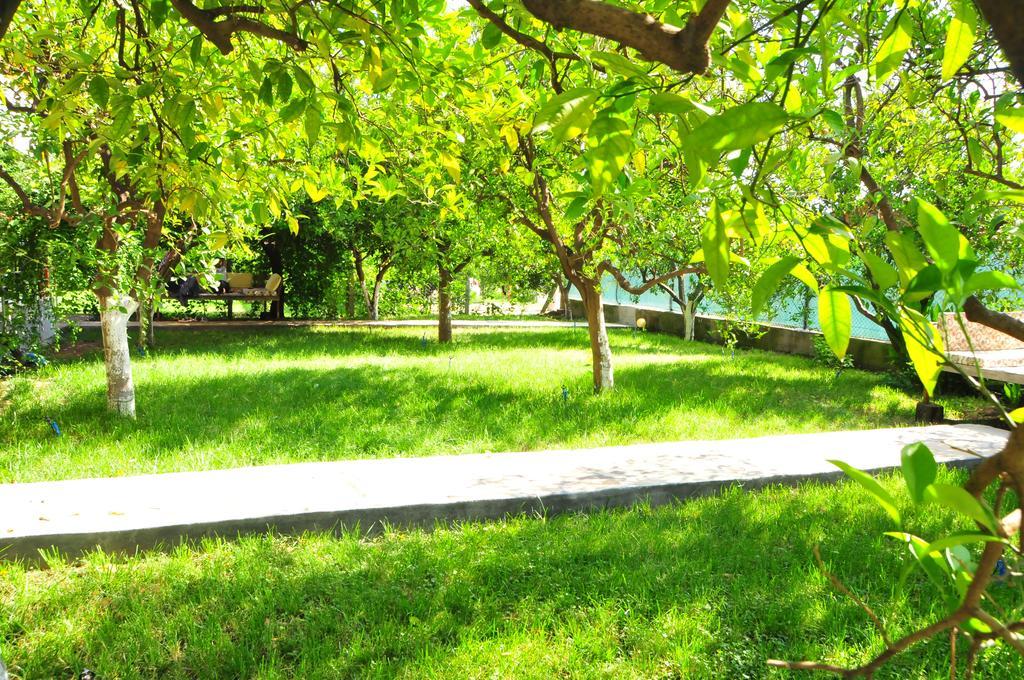 Ikiz Pension Bungalow Çıralı Bilik gambar